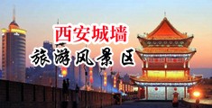 偷窥盗摄福利院中国陕西-西安城墙旅游风景区